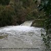 fizzo e _20101128_0026